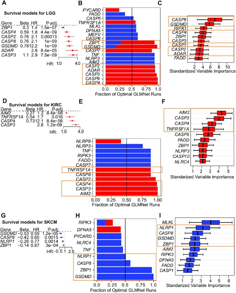 Pancancer transcriptomic profiling identifies key PANoptosis markers as therapeutic targets for oncology.