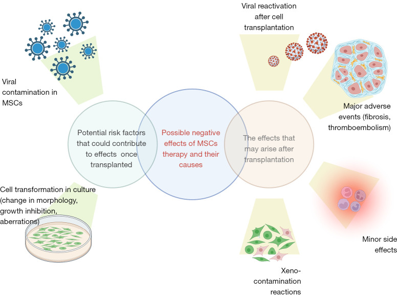 Adverse events, side effects and complications in mesenchymal stromal cell-based therapies.