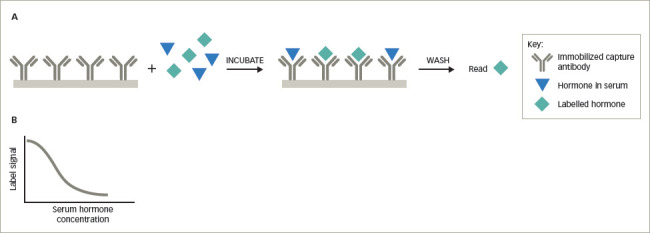 Spurious Serum Hormone Immunoassay Results: Causes, Recognition, Management.