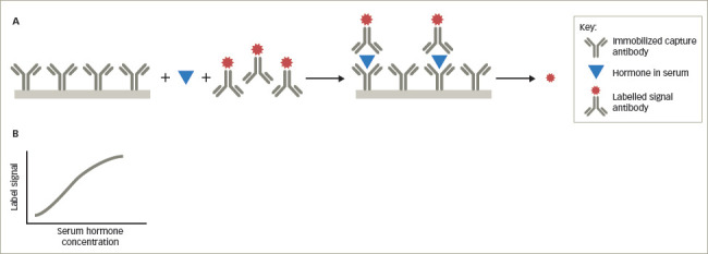 Spurious Serum Hormone Immunoassay Results: Causes, Recognition, Management.