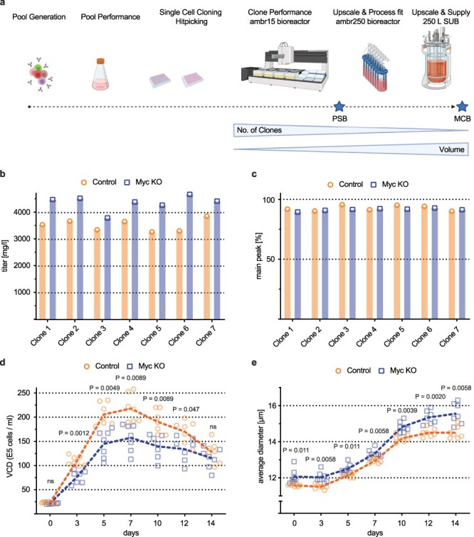 An arrayed CRISPR screen reveals Myc depletion to increase productivity of difficult-to-express complex antibodies in CHO cells.