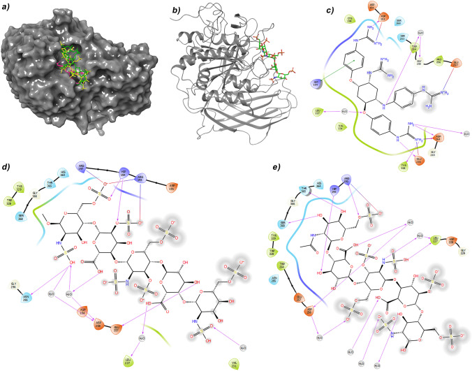 Promising Drug Fondaparinux for the Treatment of COVID-19: an In Silico Analysis of Low Molecular Weight Heparin, Direct Oral Anticoagulant, and Antiplatelet Drug Interactions with Host Protease Furin.