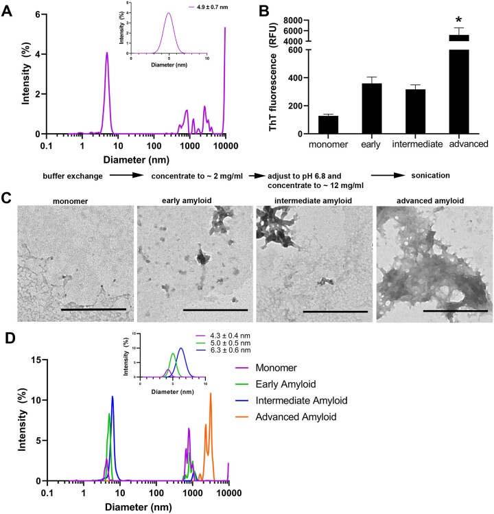 Host defense functions of the epididymal amyloid matrix.