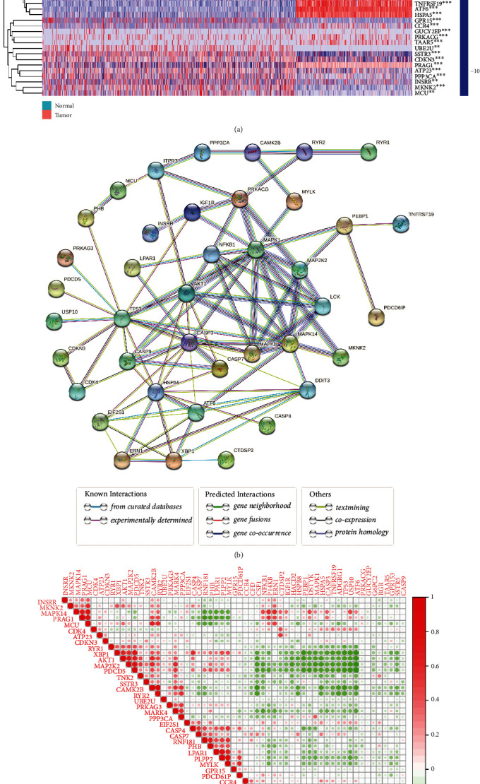 A Novel Insight into Paraptosis-Related Classification and Signature in Lower-Grade Gliomas.