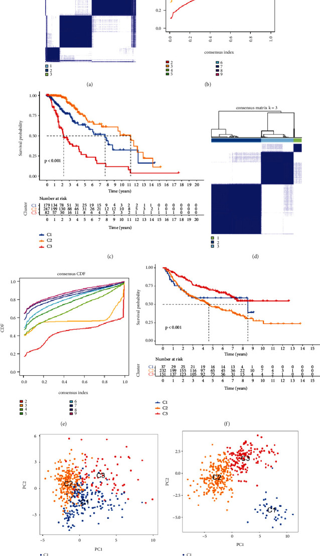 A Novel Insight into Paraptosis-Related Classification and Signature in Lower-Grade Gliomas.