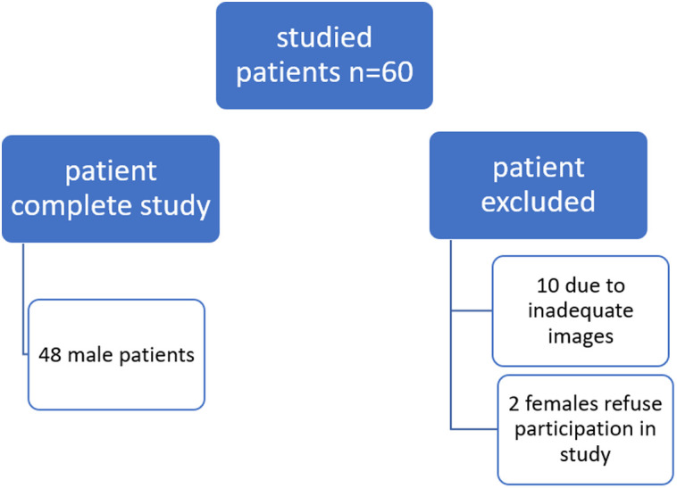 Clinical Spectrum of Nonalcoholic Fatty Liver Disease in Patients with Chronic Obstructive Pulmonary Disease.