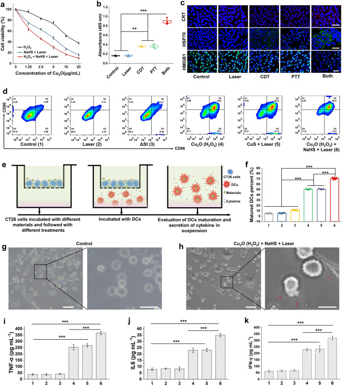 Bacterial Metabolism-Initiated Nanocatalytic Tumor Immunotherapy