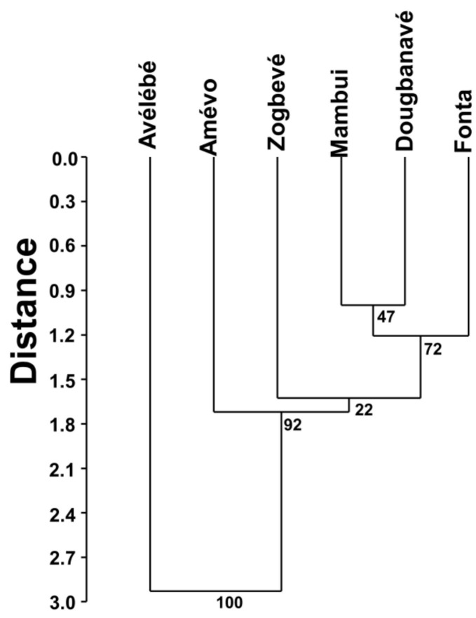 Diversity and Relative Abundance of Ungulates and Other Medium and Large Mammals in Flooded Forests in the Dahomey Gap (Togo).