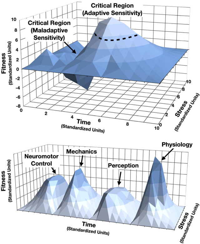 Phenomics in sport: Can emerging methodology drive advanced insights?