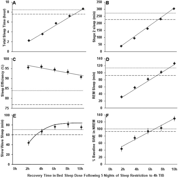 Dynamics of recovery sleep from chronic sleep restriction.