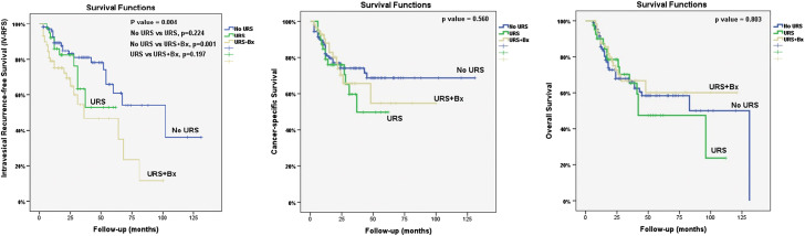 Biopsy with Ureterorenoscopy Before Radical Nephroureterectomy is Associated with Increased Intravesical Recurrence in Urothelial Cancer Located in the Kidney.