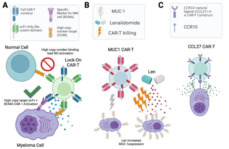 Unraveling the surface proteomic profile of multiple myeloma to reveal new immunotherapeutic targets and markers of drug resistance.