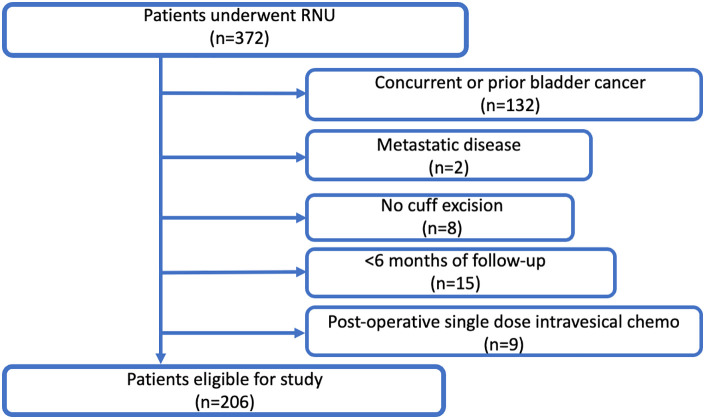 Biopsy with Ureterorenoscopy Before Radical Nephroureterectomy is Associated with Increased Intravesical Recurrence in Urothelial Cancer Located in the Kidney.