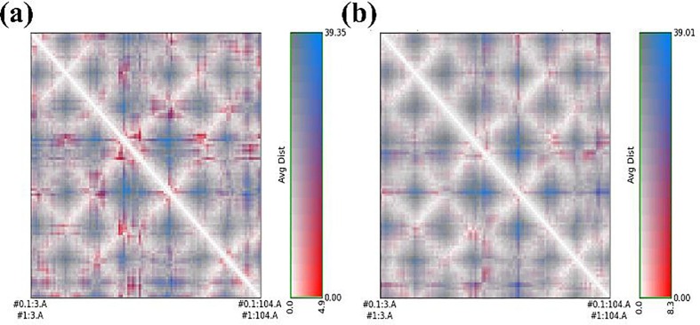 Potential inhibitory activity of phytoconstituents against black fungus: In silico ADMET, molecular docking and MD simulation studies