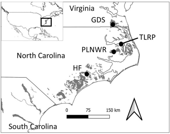 Response of soil respiration to changes in soil temperature and water table level in drained and restored peatlands of the southeastern United States