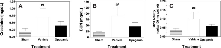 The Sphingosine Kinase 2 Inhibitor Opaganib Protects Against Acute Kidney Injury in Mice.