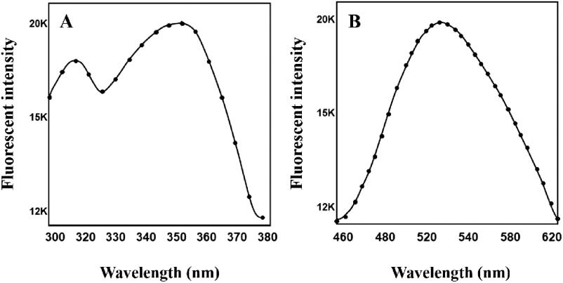 Synthesis of fluorescently labeled pyrazole derivative induceing a triple response in <i>Arabidopsis</i> seedlings.