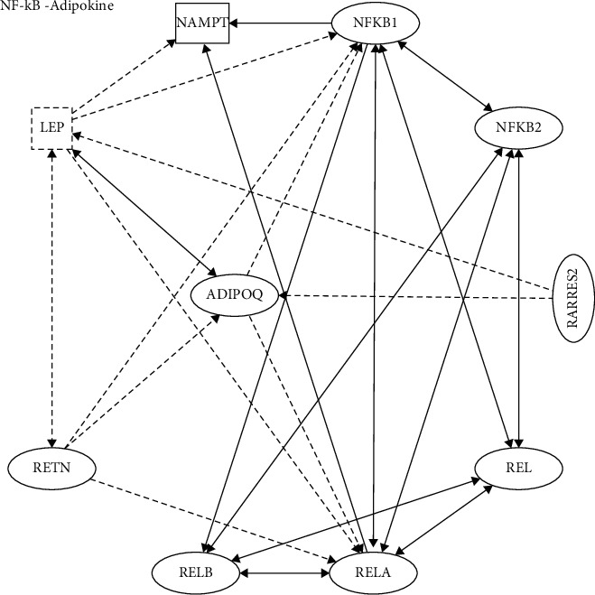 Regulatory Networks, Management Approaches, and Emerging Treatments of Nonalcoholic Fatty Liver Disease.