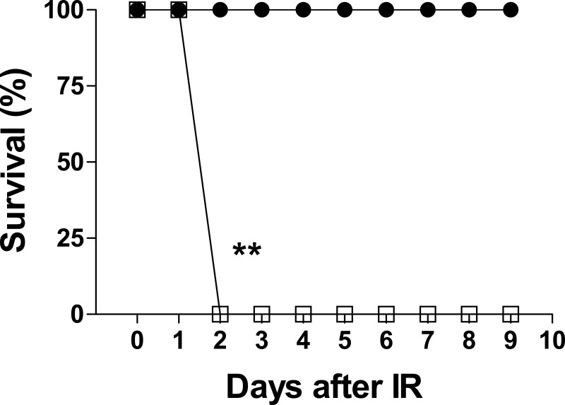 The Sphingosine Kinase 2 Inhibitor Opaganib Protects Against Acute Kidney Injury in Mice.