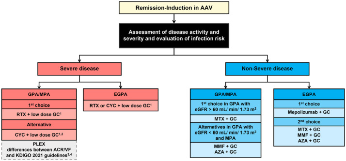 A glance into the future of anti-neutrophil cytoplasmic antibody-associated vasculitis.