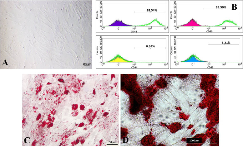 2D and 3D cultured human umbilical cord-derived mesenchymal stem cell-conditioned medium has a dual effect in type 1 diabetes model in rats: immunomodulation and beta-cell regeneration.