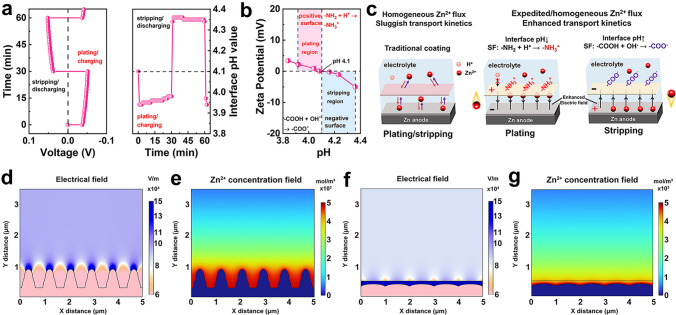 Interface Reversible Electric Field Regulated by Amphoteric Charged Protein-Based Coating Toward High-Rate and Robust Zn Anode