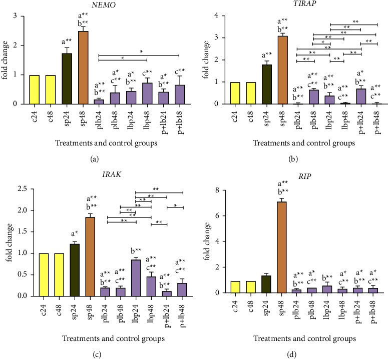 The Role of Combining Probiotics in Preventing and Controlling Inflammation: A Focus on the Anti-Inflammatory and Immunomodulatory Effects of Probiotics in an <i>In Vitro</i> Model of IBD.