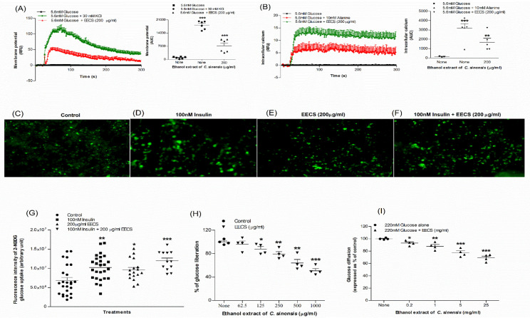 Antidiabetic Actions of Ethanol Extract of <i>Camellia sinensis</i> Leaf Ameliorates Insulin Secretion, Inhibits the DPP-IV Enzyme, Improves Glucose Tolerance, and Increases Active GLP-1 (7-36) Levels in High-Fat-Diet-Fed Rats.