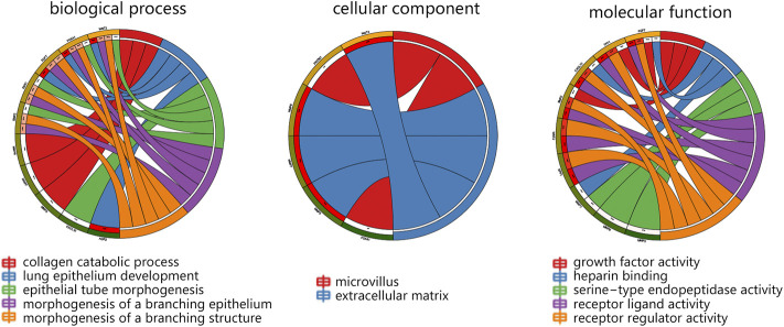 Anterior Gradient 2 is a Significant Prognostic Biomarker in Bone Metastasis of Breast Cancer.
