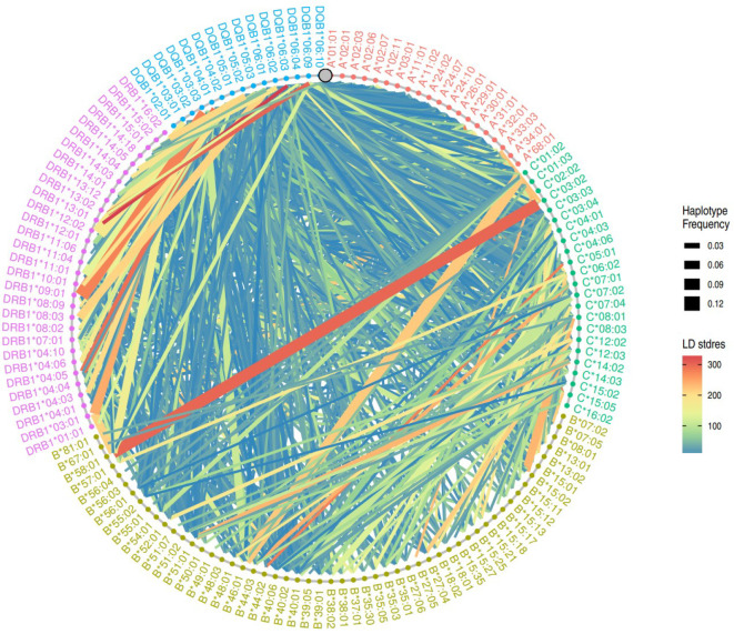Human leukocyte antigen allele and haplotype frequencies in Singapore bone marrow donors and cord blood units.