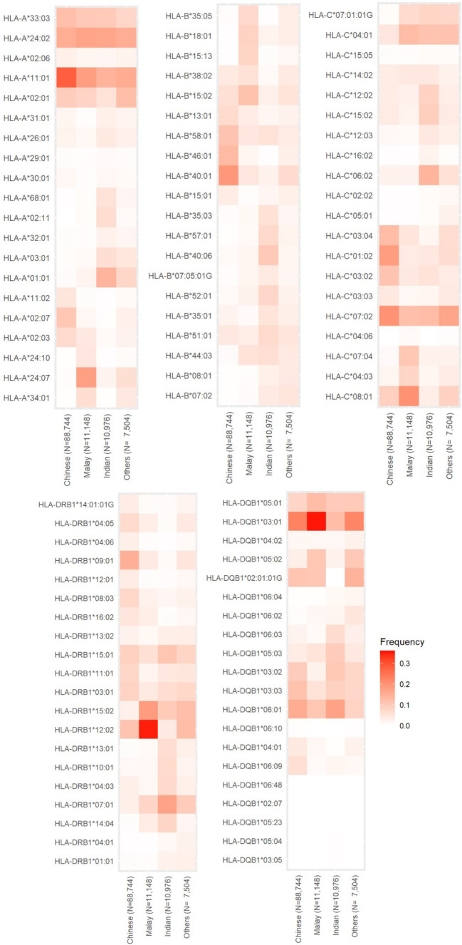 Human leukocyte antigen allele and haplotype frequencies in Singapore bone marrow donors and cord blood units.
