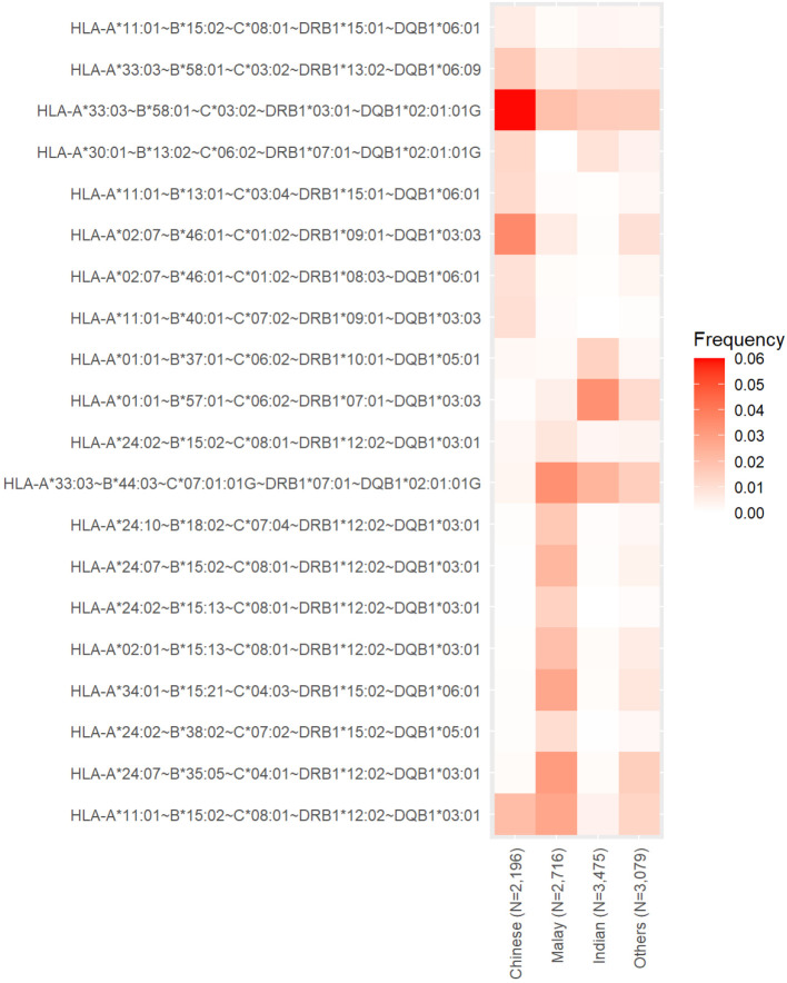 Human leukocyte antigen allele and haplotype frequencies in Singapore bone marrow donors and cord blood units.