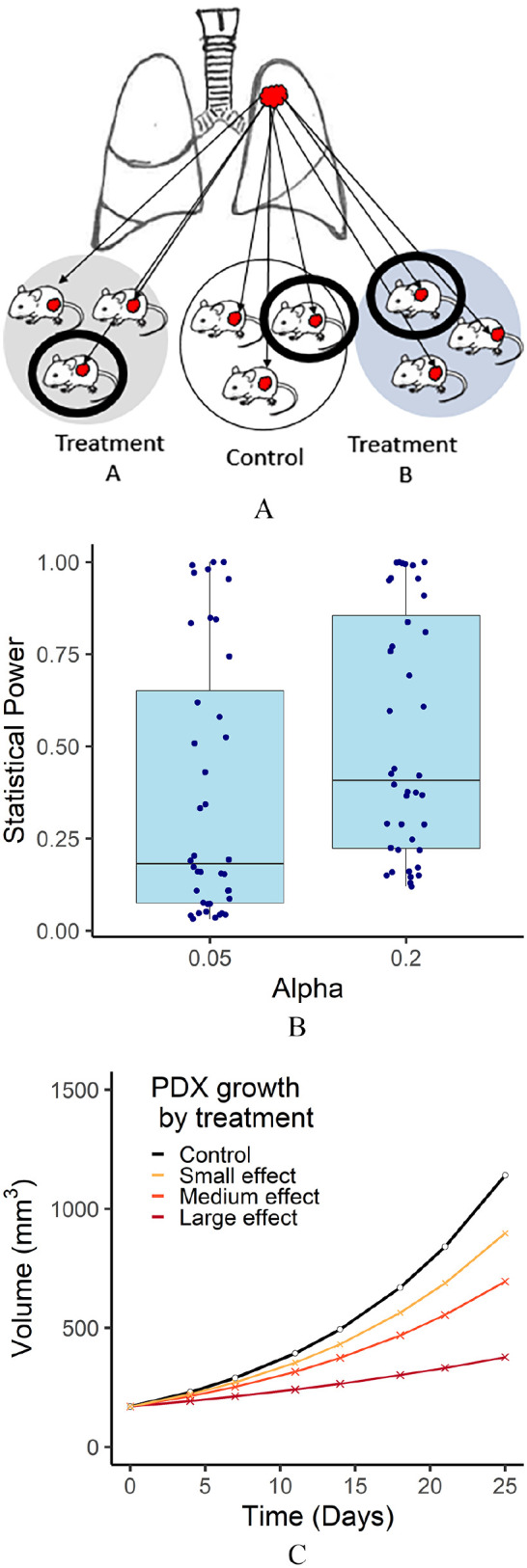Optimizing Drug Response Study Design in Patient-Derived Tumor Xenografts.
