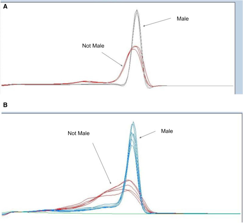 High-throughput methods to identify male Cannabis sativa using various genotyping methods.