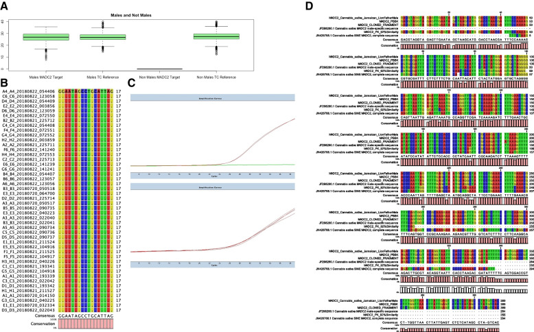 High-throughput methods to identify male Cannabis sativa using various genotyping methods.