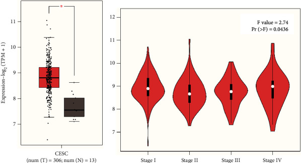 Expression and Prognostic Significance of PDIA3 in Cervical Cancer.