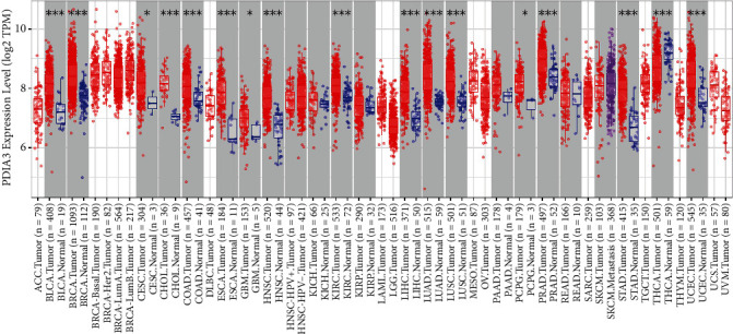 Expression and Prognostic Significance of PDIA3 in Cervical Cancer.