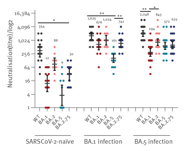Omicron BA.2.75 variant is efficiently neutralised following BA.1 and BA.5 breakthrough infection in vaccinated individuals, Israel, June to September 2022.