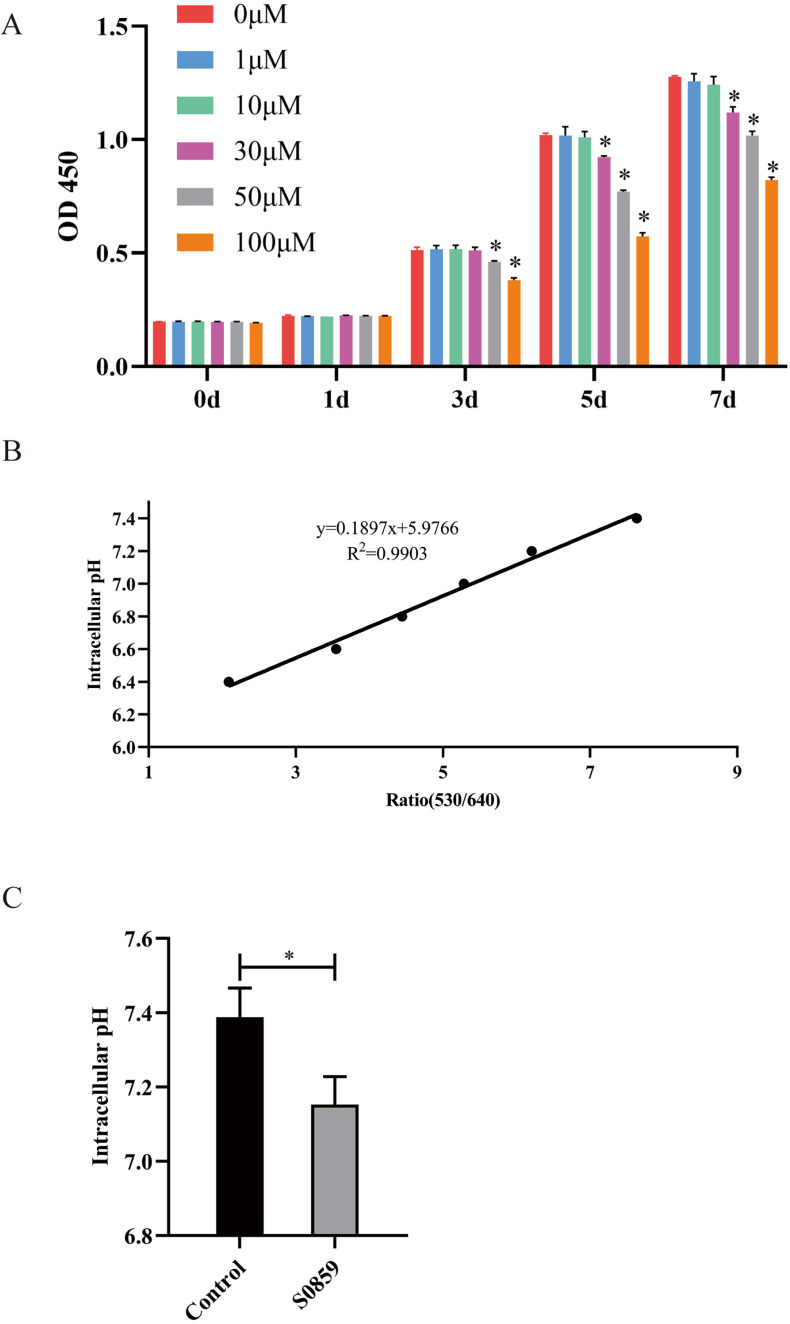 NBCe1 Regulates Odontogenic Differentiation of Human Dental Pulp Stem Cells via NF-<i>κ</i>B.