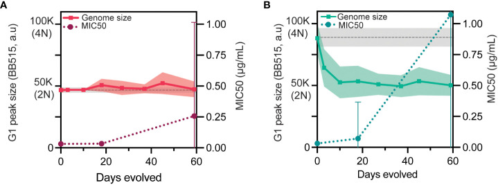 Tetraploidy accelerates adaptation under drug selection in a fungal pathogen.