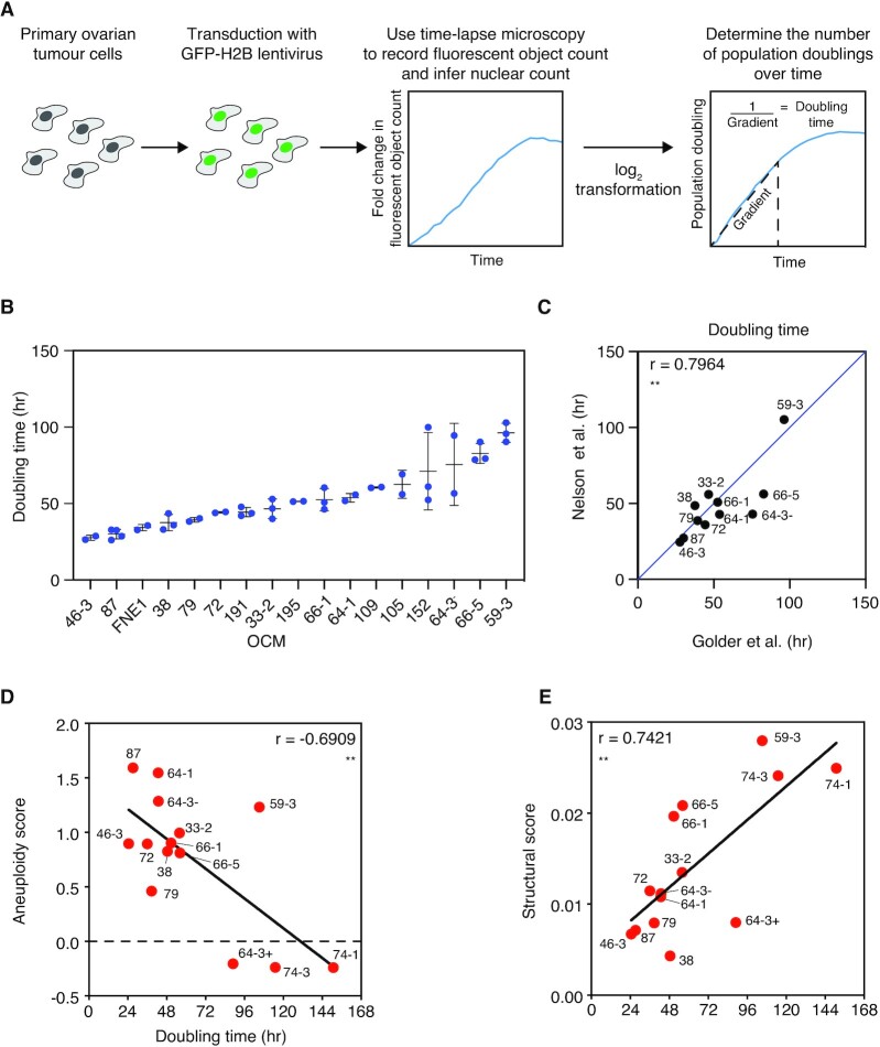 Multiple-low-dose therapy: effective killing of high-grade serous ovarian cancer cells with ATR and CHK1 inhibitors.