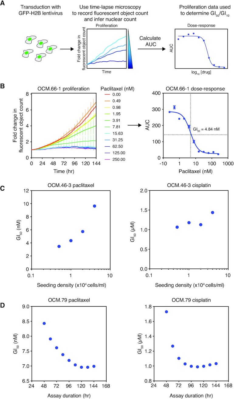 Multiple-low-dose therapy: effective killing of high-grade serous ovarian cancer cells with ATR and CHK1 inhibitors.