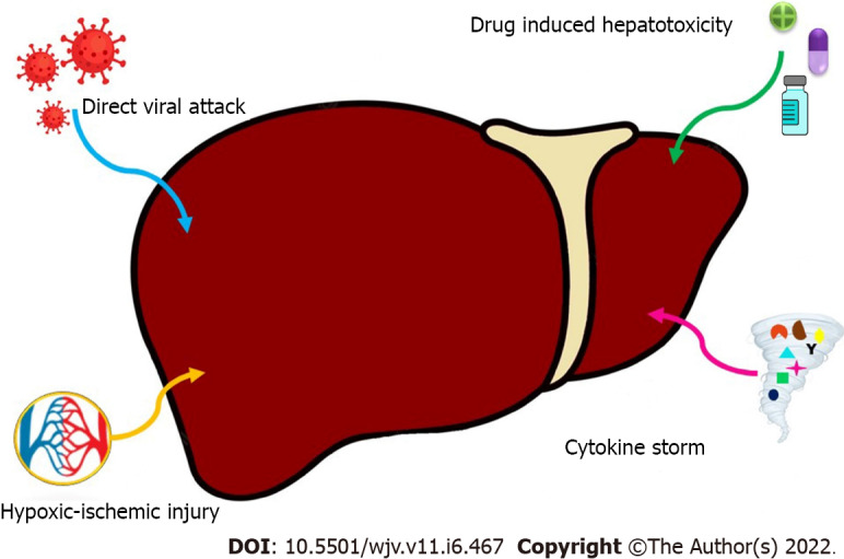 Potential risk of liver injury in epileptic patients during COVID-19 pandemic.