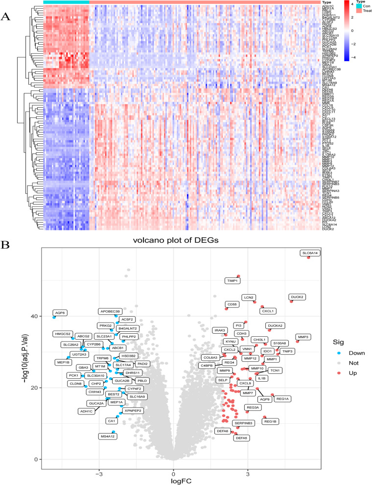 Screening of ulcerative colitis biomarkers and potential pathways based on weighted gene co-expression network, machine learning and ceRNA hypothesis.