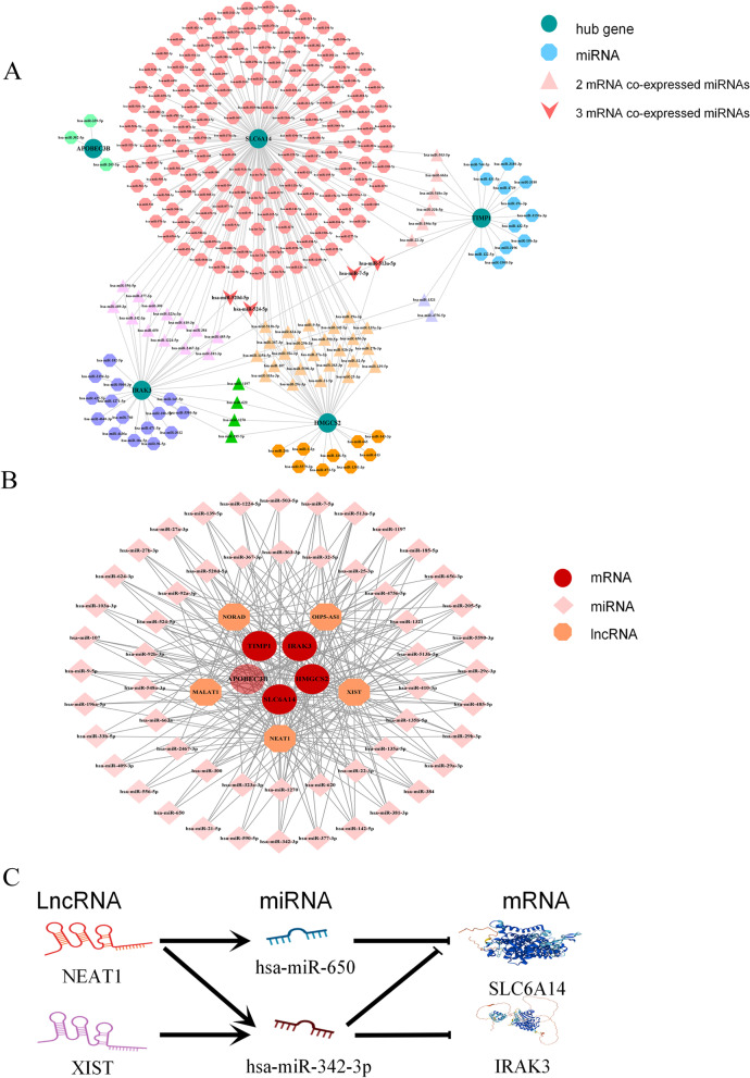 Screening of ulcerative colitis biomarkers and potential pathways based on weighted gene co-expression network, machine learning and ceRNA hypothesis.