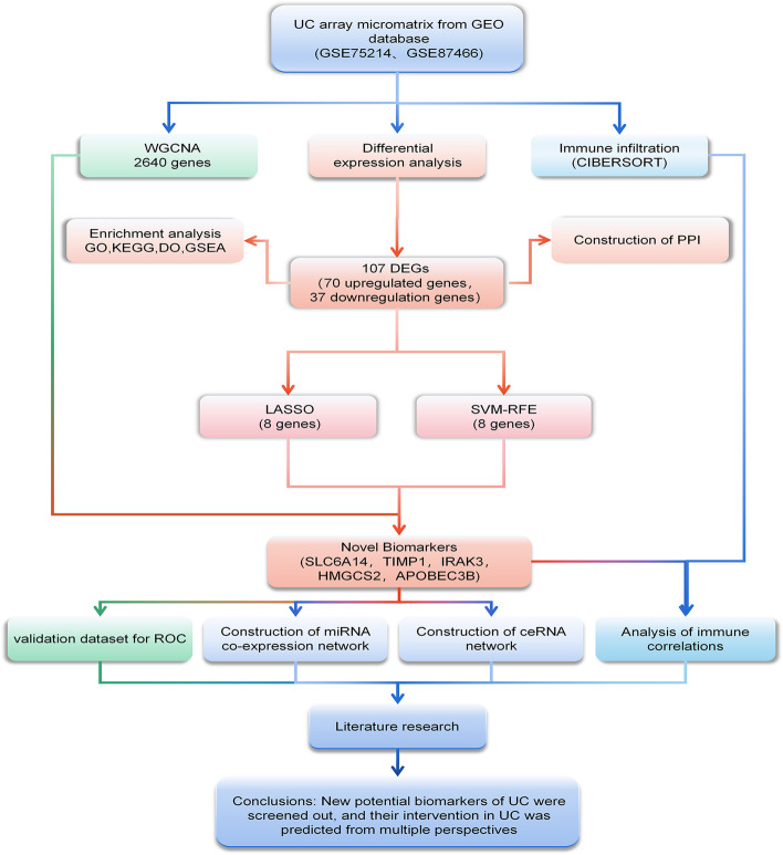 Screening of ulcerative colitis biomarkers and potential pathways based on weighted gene co-expression network, machine learning and ceRNA hypothesis.