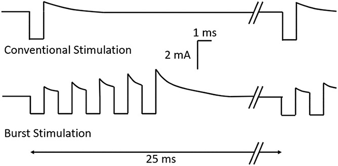 Using evoked compound action potentials to quantify differential neural activation with burst and conventional, 40 Hz spinal cord stimulation in ovines.