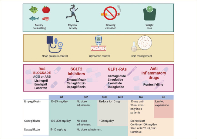 Non-albuminuric Diabetic Kidney Disease Phenotype: Beyond Albuminuria.