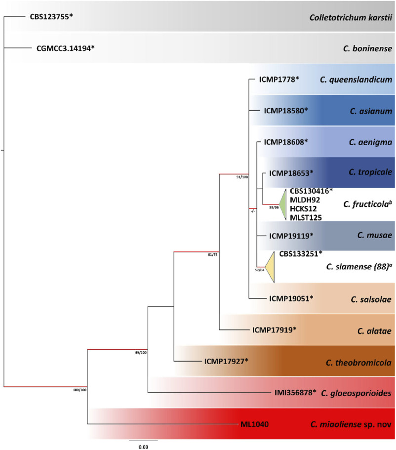 Sensitivity of <i>Colletotrichum gloeosporioides</i> species complex (CGSC) isolated from strawberry in Taiwan to benzimidazole and strobilurin.