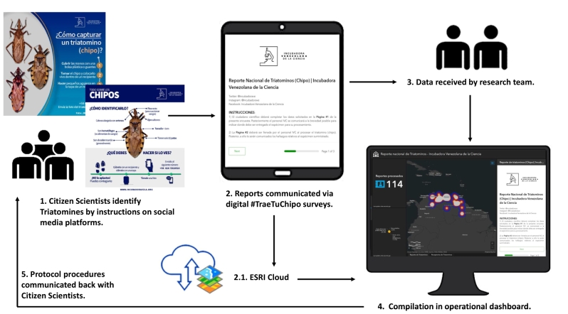 Tele-entomology and tele-parasitology: A citizen science-based approach for surveillance and control of Chagas disease in Venezuela